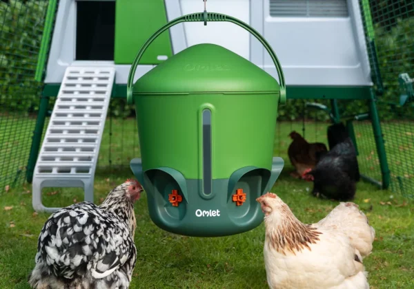 Frostsichere Wassertränke für Hühner