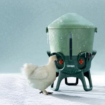 Isolierte Hühnertränke von Omlet für den Winter frostsicher