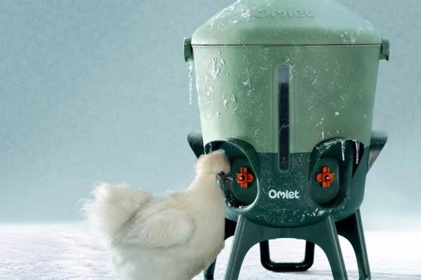 Isolierte Hühnertränke von Omlet für den Winter frostsicher